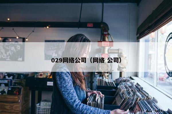 029网络公司（网络 公司）