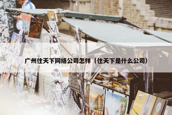 广州住天下网络公司怎样（住天下是什么公司）