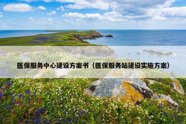 医保服务中心建设方案书（医保服务站建设实施方案）