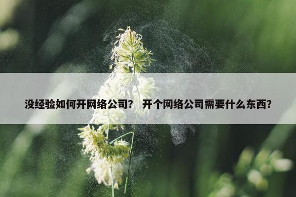 没经验如何开网络公司？ 开个网络公司需要什么东西？