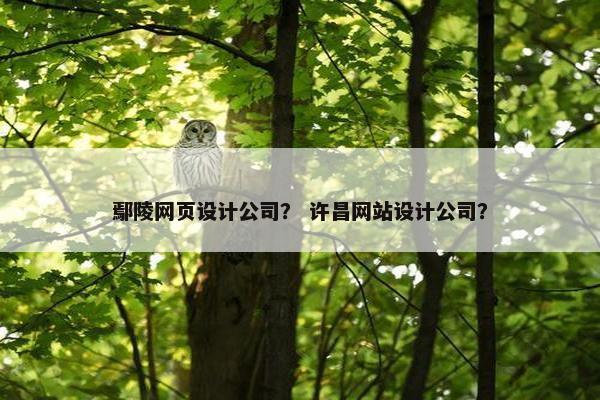 鄢陵网页设计公司？ 许昌网站设计公司？