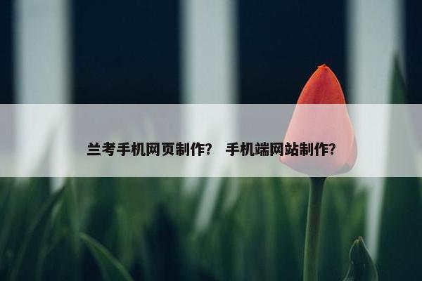 兰考手机网页制作？ 手机端网站制作？