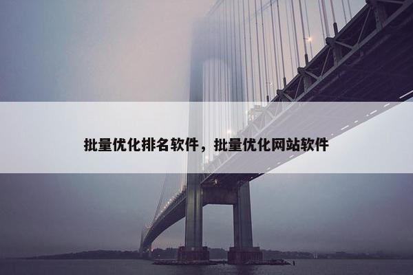 批量优化排名软件，批量优化网站软件