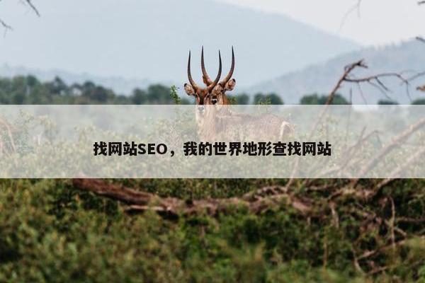 找网站SEO，我的世界地形查找网站