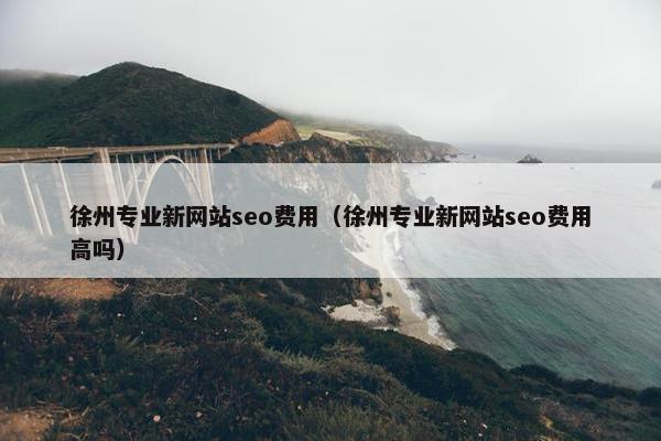 徐州专业新网站seo费用（徐州专业新网站seo费用高吗）