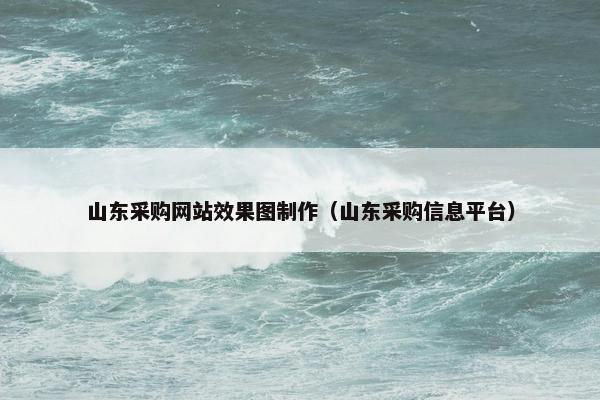 山东采购网站效果图制作（山东采购信息平台）