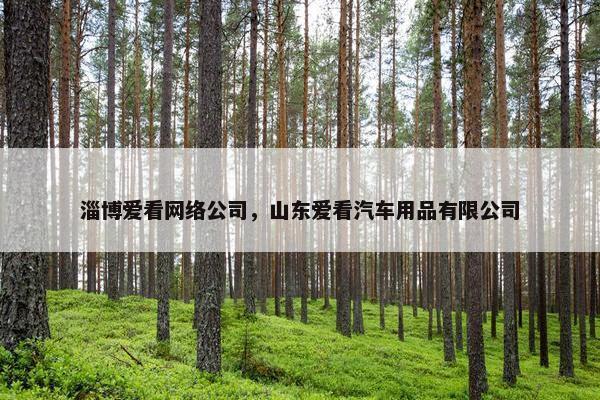 淄博爱看网络公司，山东爱看汽车用品有限公司