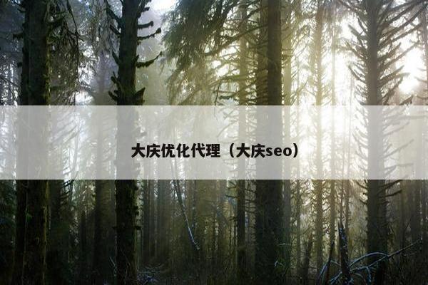 大庆优化代理（大庆seo）