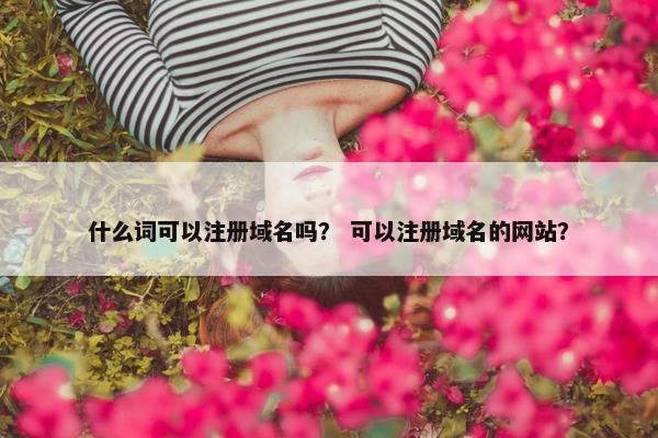 什么词可以注册域名吗？ 可以注册域名的网站？