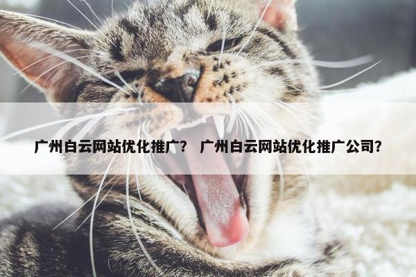 广州白云网站优化推广？ 广州白云网站优化推广公司？