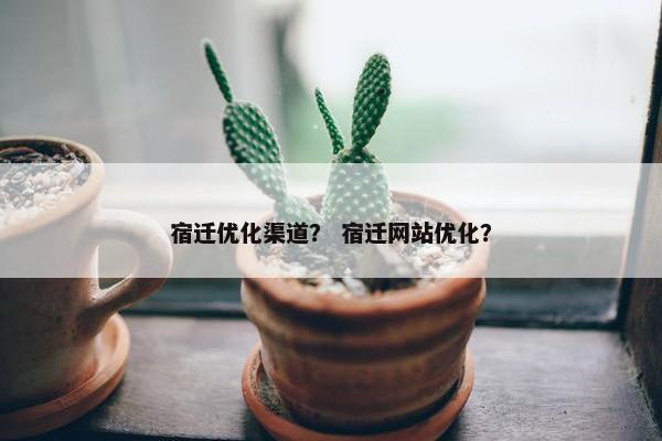 宿迁优化渠道？ 宿迁网站优化？
