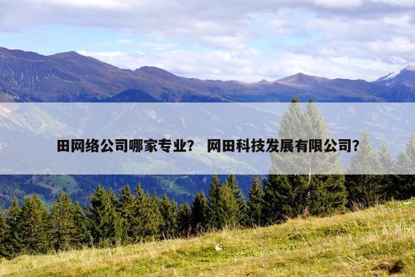 田网络公司哪家专业？ 网田科技发展有限公司？