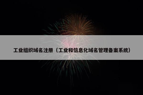 工业组织域名注册（工业和信息化域名管理备案系统）