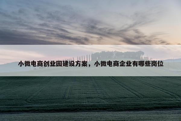 小微电商创业园建设方案，小微电商企业有哪些岗位