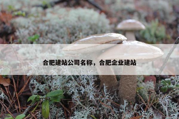 合肥建站公司名称，合肥企业建站