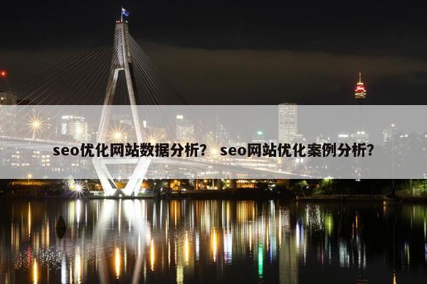 seo优化网站数据分析？ seo网站优化案例分析？