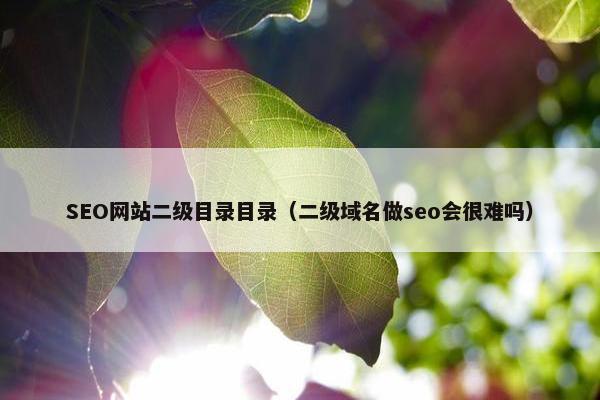 SEO网站二级目录目录（二级域名做seo会很难吗）