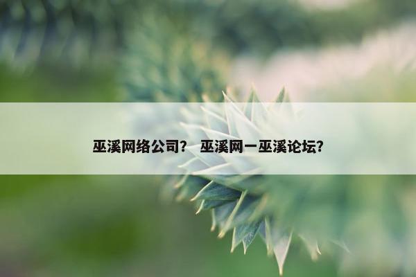 巫溪网络公司？ 巫溪网一巫溪论坛？
