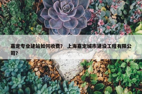 嘉定专业建站如何收费？ 上海嘉定城市建设工程有限公司？