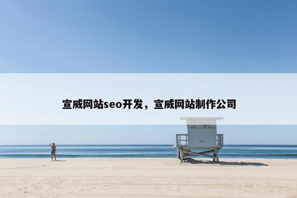 宣威网站seo开发，宣威网站制作公司