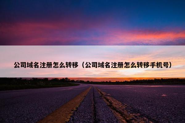 公司域名注册怎么转移（公司域名注册怎么转移手机号）