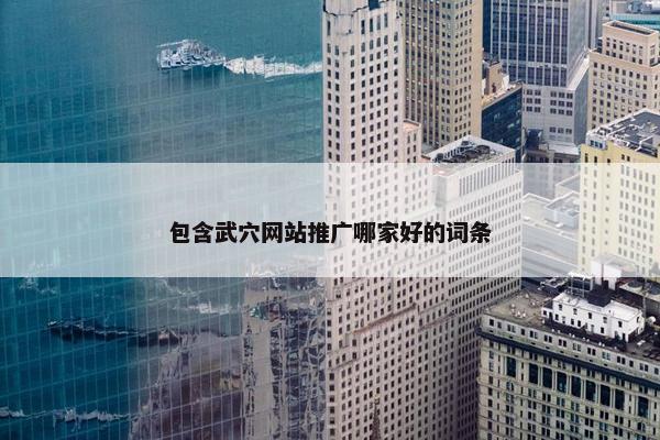 包含武穴网站推广哪家好的词条