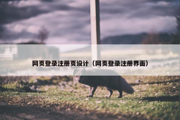 网页登录注册页设计（网页登录注册界面）