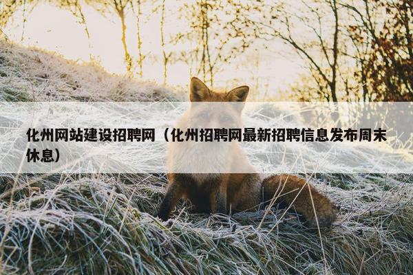 化州网站建设招聘网（化州招聘网最新招聘信息发布周末休息）