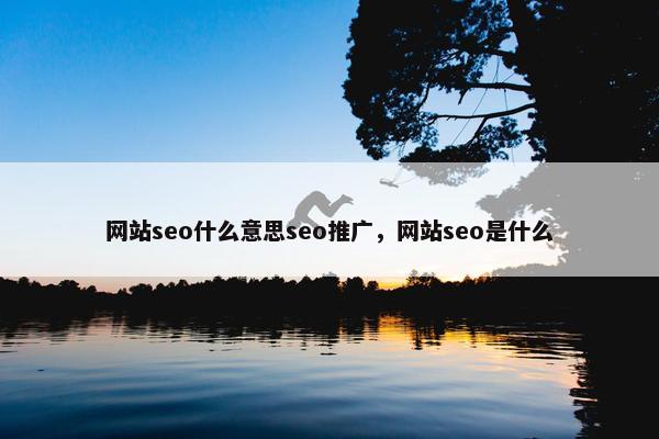 网站seo什么意思seo推广，网站seo是什么