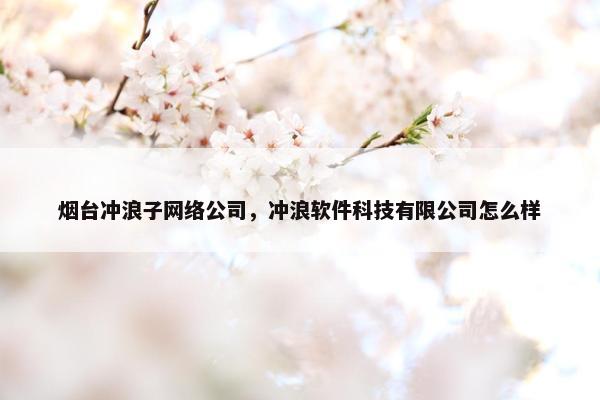 烟台冲浪子网络公司，冲浪软件科技有限公司怎么样
