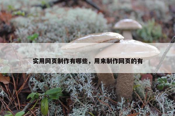 实用网页制作有哪些，用来制作网页的有