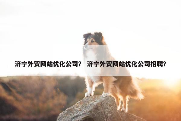 济宁外贸网站优化公司？ 济宁外贸网站优化公司招聘？