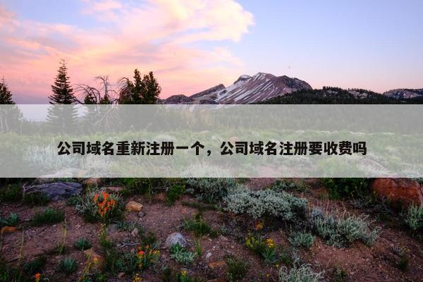 公司域名重新注册一个，公司域名注册要收费吗