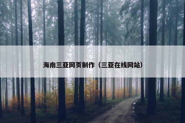 海南三亚网页制作（三亚在线网站）