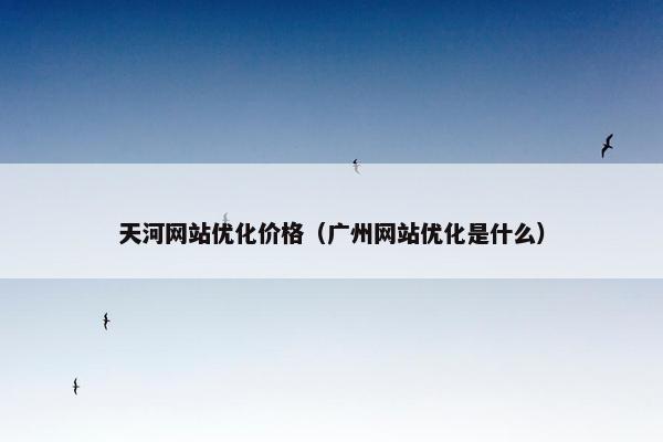 天河网站优化价格（广州网站优化是什么）