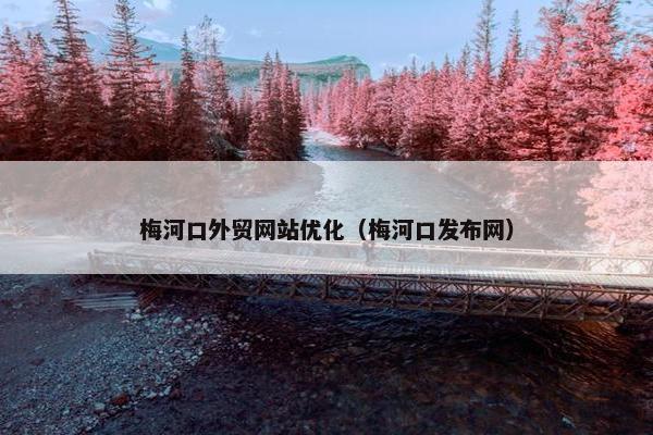 梅河口外贸网站优化（梅河口发布网）