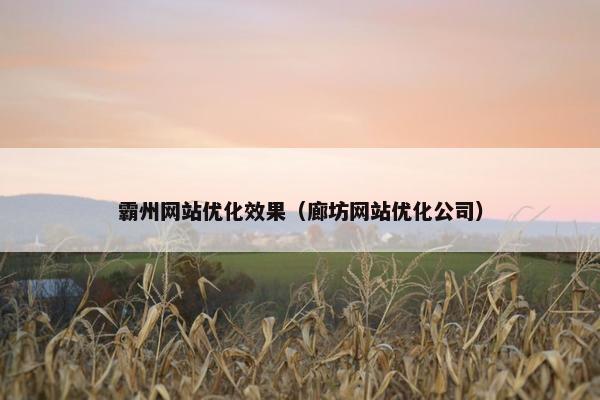 霸州网站优化效果（廊坊网站优化公司）