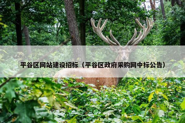平谷区网站建设招标（平谷区政府采购网中标公告）