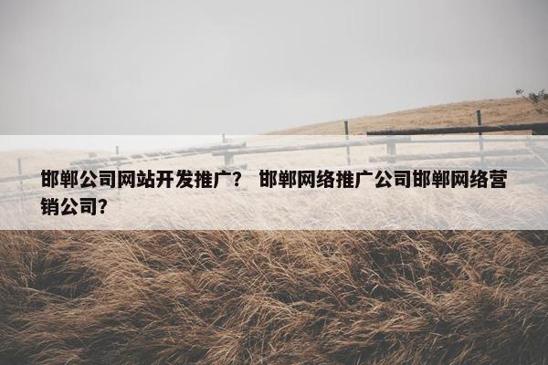 邯郸公司网站开发推广？ 邯郸网络推广公司邯郸网络营销公司？