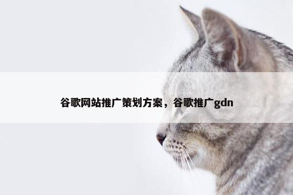 谷歌网站推广策划方案，谷歌推广gdn