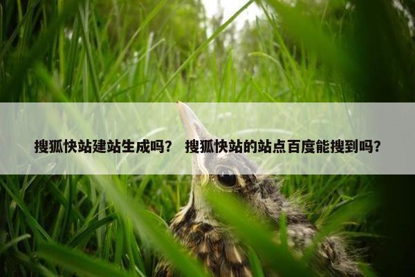 搜狐快站建站生成吗？ 搜狐快站的站点百度能搜到吗？