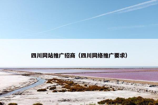 四川网站推广招商（四川网络推广要求）