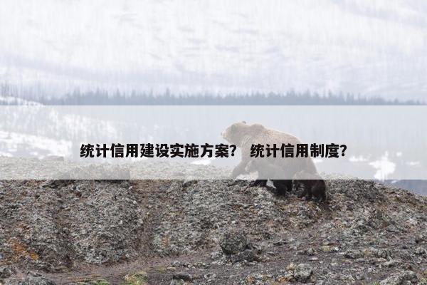 统计信用建设实施方案？ 统计信用制度？