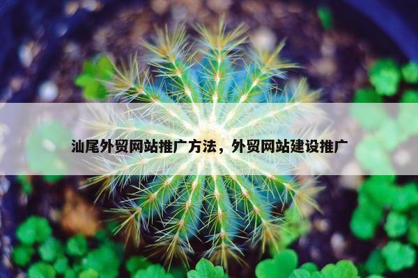 汕尾外贸网站推广方法，外贸网站建设推广