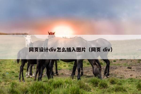 网页设计div怎么插入图片（网页 div）