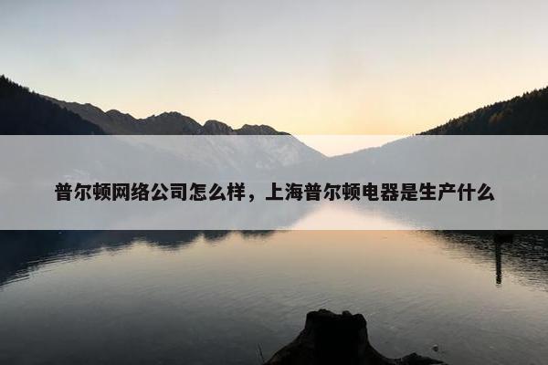 普尔顿网络公司怎么样，上海普尔顿电器是生产什么