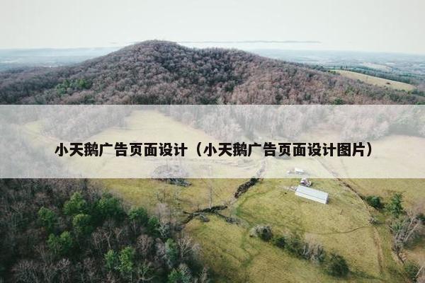 小天鹅广告页面设计（小天鹅广告页面设计图片）