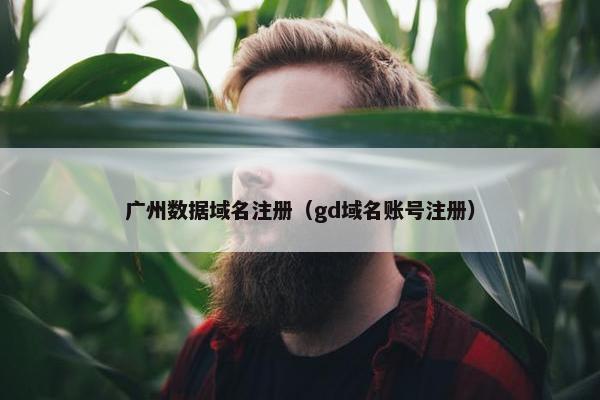 广州数据域名注册（gd域名账号注册）