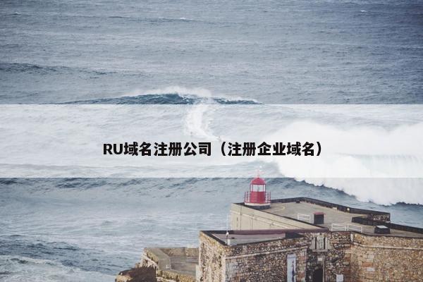 RU域名注册公司（注册企业域名）