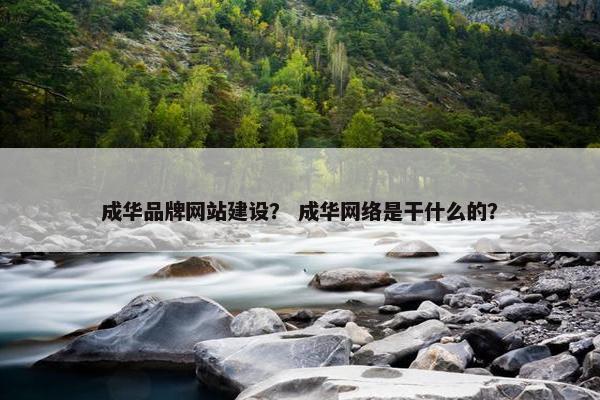 成华品牌网站建设？ 成华网络是干什么的？